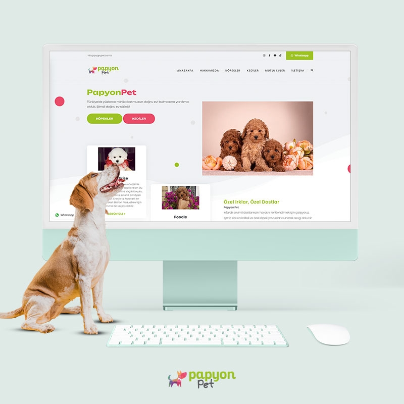 Papyon Pet Web Sitesi